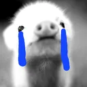 sadpig