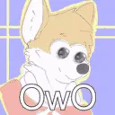 owowhatsthis