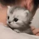 SadXilo