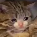 Sad Cry SadCry Discord Emoji