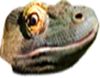 PauseChamp PauseChamp