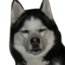 Maximus