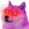 curseddoge