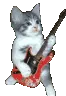 rockingcat