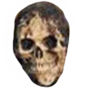 Skeletal Skeletal