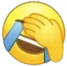 joyfacepalm