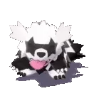 KaiIsJammin KaiIsJammin
