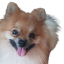 santasdog Discord emoji