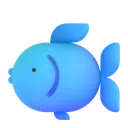 fish fish