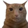 guh