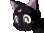 B Cat b_cat Discord Emoji