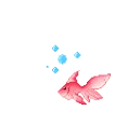 z_00_fishred