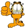 garfield garfield
