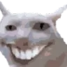 catSmirk