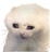 TEA_3vsohorosho Discord emoji
