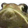 NotSoPog
