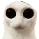 HS_spookycat Discord Emoji