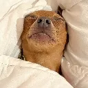 sleep