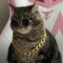 lobstercat Discord Emoji