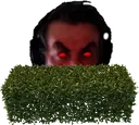 hedgebusiness