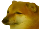 SadPuppy