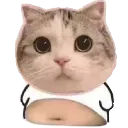 miguelwaton miguelwaton