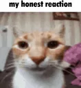 emoji_40