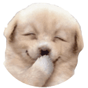 jijidog Discord emoji
