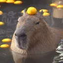ad_capybara_