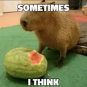 ad_capybara_eat_