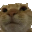 Nono