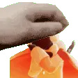 PetMary