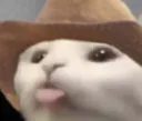 cowcat