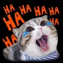 cattoWheezing