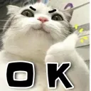 cattoOK