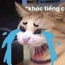 cattoCry