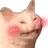 blushcat