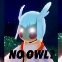 NoOwl