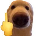DW_fu DW_fu