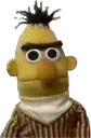 bertstareface
