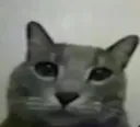 ca