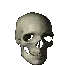 skulldead