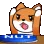 nutdog