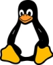 Penguin standing upright with a white belly and orange feet.