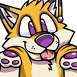 skaifoShrug
