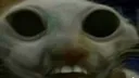 hehedemon