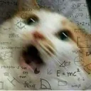 cattoHOW