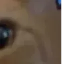 Cat_8 Cat_8