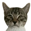 tabitha_sad