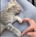 luv